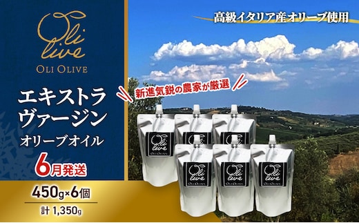 高級イタリア産 エキストラ・ヴァージン・オリーブオイル 450g×6個【2026年6月中旬より順次発送】調味料 油 オリーブ油 食用油 静岡県 袋井市