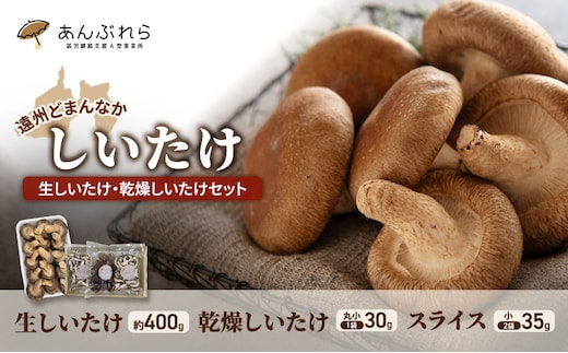 【遠州どまんなかしいたけ】 生しいたけ・乾燥しいたけセット (生しいたけ 約400g , 乾燥しいたけ 丸小 30g1袋 , スライス 小35g2袋) 干し椎茸 産地直送 国産 料理 素材 出汁 日本料理 就労支援 福祉 静岡 袋井