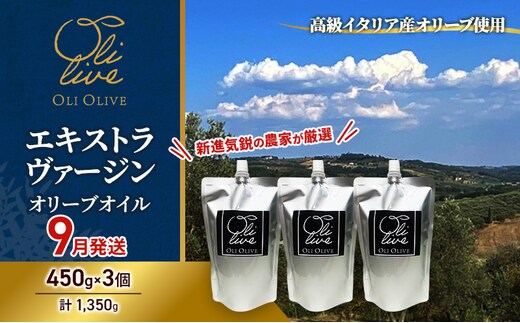 高級イタリア産 エキストラ・ヴァージン・オリーブオイル 450g×3個【2026年9月中旬より順次発送】調味料 油 オリーブ油 食用油 静岡県 袋井市