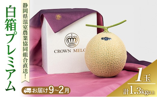 白箱プレミアム (冬9～2月) 果物 メロン 青肉 フルーツ デザート 高級メロン ブランドメロン 袋井市 静岡県