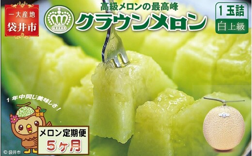 【5ヶ月定期便】クラウンメロン（白上級）1玉入 メロン デザート グルメ 果物 フルーツ 季節の果物 スイーツ 袋井市 静岡県