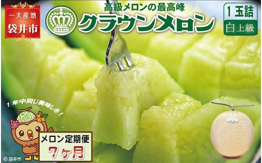 【7ヶ月定期便】クラウンメロン（白上級）1玉入 メロン デザート グルメ 果物 フルーツ 季節の果物 スイーツ 袋井市 静岡県