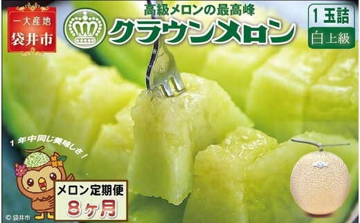 【8ヶ月定期便】クラウンメロン（白上級）1玉入 メロン デザート グルメ 果物 フルーツ 季節の果物 スイーツ 袋井市 静岡県