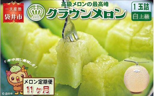 【11ヶ月定期便】クラウンメロン（白上級）1玉入 メロン デザート グルメ 果物 フルーツ 季節の果物 スイーツ 袋井市 静岡県