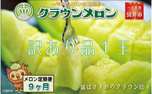 【9ヶ月定期便】クラウンメロン（訳あり）1玉入 メロン デザート グルメ 果物 フルーツ 季節の果物 スイーツ 袋井市 静岡県