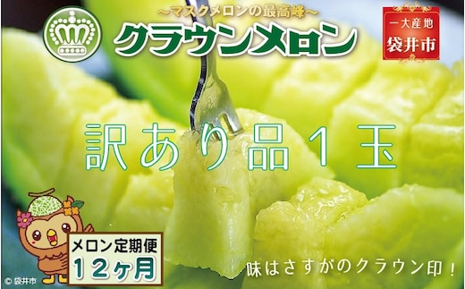 【12ヶ月定期便】クラウンメロン（訳あり）1玉入 メロン デザート グルメ 果物 フルーツ 季節の果物 スイーツ 袋井市 静岡県