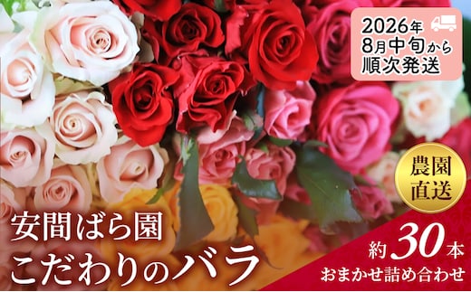 【2026年8月中旬から順次発送】安間ばら園 こだわりの バラ おまかせ詰め合わせ約30本入 クール便 花 ギフト 誕生日 記念日 花束 プレゼント バラ フラワーギフト