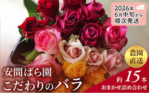 【2026年6月中旬から順次発送】安間ばら園 こだわりの バラ おまかせ詰め合わせ約15本入 クール便 花 ギフト 誕生日 記念日 花束 プレゼント バラ フラワーギフト