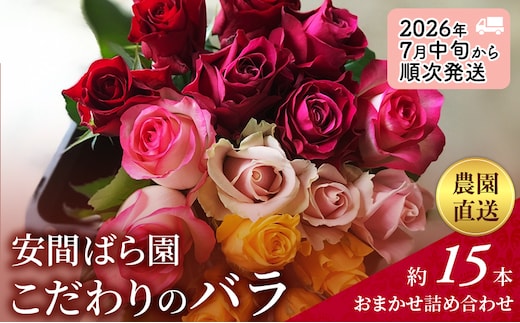 【2026年7月中旬から順次発送】安間ばら園 こだわりの バラ おまかせ詰め合わせ約15本入 クール便 花 ギフト 誕生日 記念日 花束 プレゼント バラ フラワーギフト
