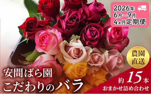 【2026年6月～9月定期便】安間ばら園 こだわりの バラ おまかせ詰め合わせ約15本 4か月定期便 花 ギフト 誕生日 記念日 花束 プレゼント バラ フラワーギフト