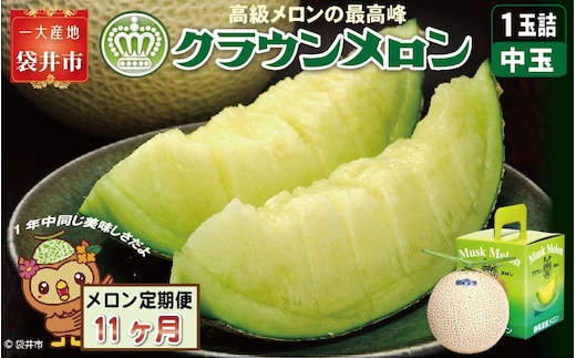 【11ヶ月定期便】クラウンメロン（白等級）中玉 1玉入 果物 フルーツ デザート メロン マスクメロン 青肉 高級 ギフト 贈り物 静岡県産 袋井市