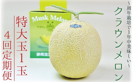 【4ヶ月定期便】クラウンメロン（白等級）特大玉 1玉入 果物 フルーツ デザート メロン マスクメロン 青肉 高級 ギフト 贈り物 静岡県産 袋井市