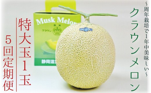 【5ヶ月定期便】クラウンメロン（白等級）特大玉 1玉入 果物 フルーツ デザート メロン マスクメロン 青肉 高級 ギフト 贈り物 静岡県産 袋井市