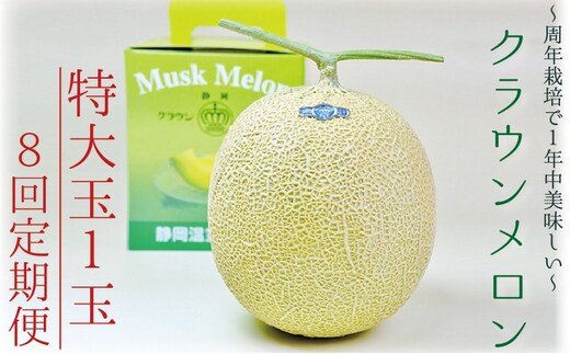 【8ヶ月定期便】クラウンメロン（白等級）特大玉 1玉入 果物 フルーツ デザート メロン マスクメロン 青肉 高級 ギフト 贈り物 静岡県産 袋井市
