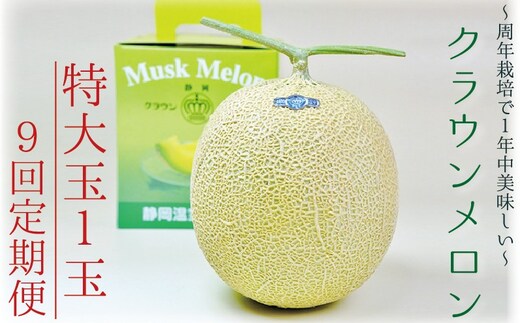 【9ヶ月定期便】クラウンメロン（白等級）特大玉 1玉入 果物 フルーツ デザート メロン マスクメロン 青肉 高級 ギフト 贈り物 静岡県産 袋井市