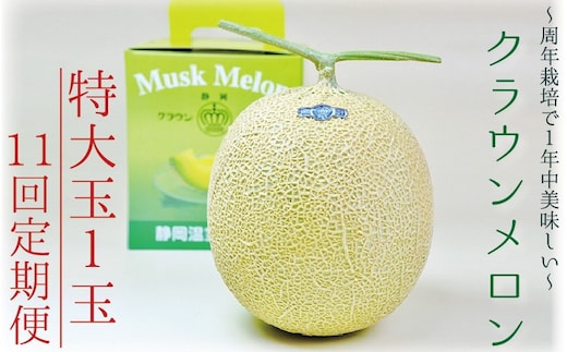 【11ヶ月定期便】クラウンメロン（白等級）特大玉 1玉入 果物 フルーツ デザート メロン マスクメロン 青肉 高級 ギフト 贈り物 静岡県産 袋井市