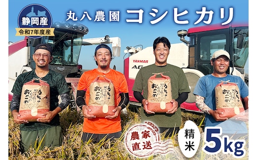 お米 令和7年度産静岡産コシヒカリ精米5kg 米 コメ こしひかり コシヒカリ 精米 白米 袋井市 静岡県