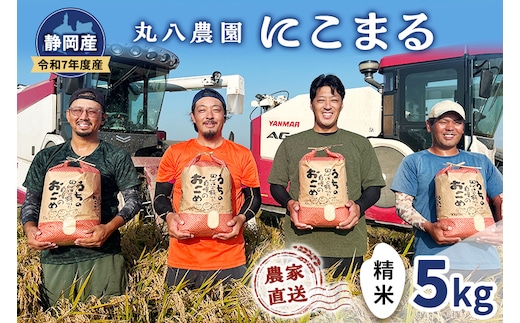 お米 令和7年度産静岡産にこまる精米5kg 米 コメ にこまる 精米 白米 袋井市 静岡県