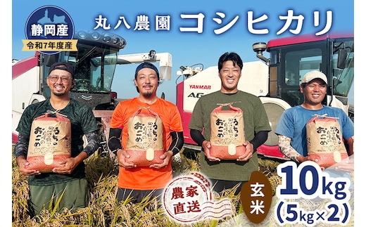 お米 令和7年度産静岡産コシヒカリ玄米5kg×2 米 コメ こしひかり コシヒカリ 玄米 袋井市 静岡県