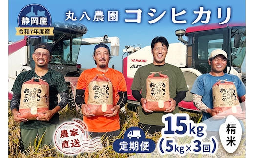 お米 （定期便3回）令和7年度産静岡県産コシヒカリ精米5kg×3 計15kg 米 コメ こしひかり コシヒカリ 精米 白米 定期便 袋井市 静岡県