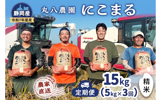 お米 （定期便3回）令和7年度産静岡県産にこまる精米5kg×3 計15kg 米 コメ にこまる 精米 白米 定期便 袋井市 静岡県