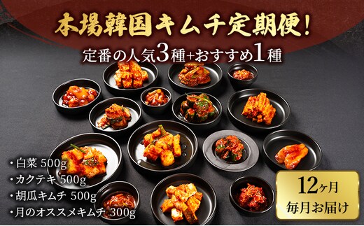 本場韓国キムチ定期便！ 12ヵ月 定番の人気3種+おすすめ1種 キムチ おつまみ 韓国食材 韓国料理 静岡県 袋井市