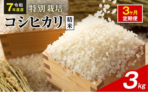 令和7年産 特別栽培米 コシヒカリ 白米 3kg 静岡県産 色彩選別済 食に意識高い方へオススメ 3ヶ月定期便