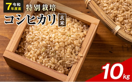 令和7年産 特別栽培米 コシヒカリ 玄米 10kg 静岡県産 色彩選別済 食に意識高い方へオススメ
