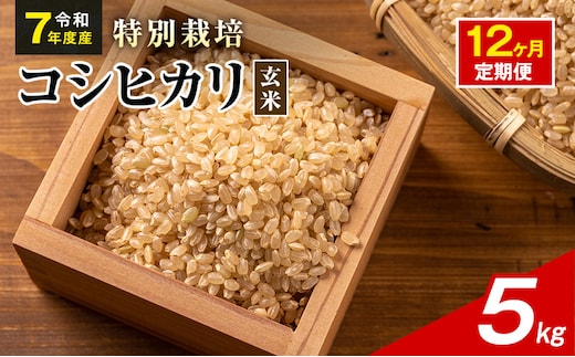 令和7年産 特別栽培米 コシヒカリ 玄米 5kg 静岡県産 色彩選別済 食に意識高い方へオススメ 12ヶ月定期便