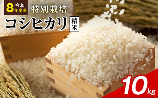 令和8年産 特別栽培米 コシヒカリ 白米 10kg 静岡県産 色彩選別済 食に意識高い方へオススメ