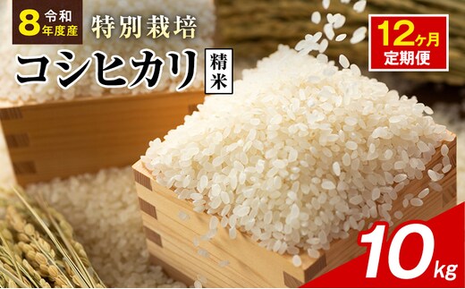 令和8年産 特別栽培米 コシヒカリ 白米 10kg 静岡県産 色彩選別済 食に意識高い方へオススメ 12ヶ月定期便