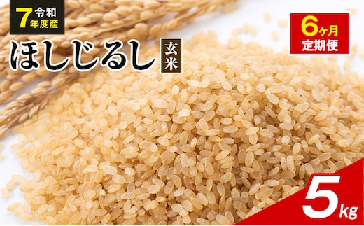 令和7年度産 ほしじるし 5kg 玄米 6ヶ月定期便 米 静岡県 袋井市【離島配送不可】