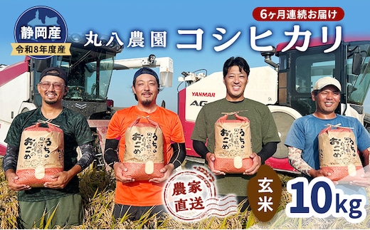 【予約】令和8年度産 静岡産 コシヒカリ 玄米 定期便 10kg×6カ月 米 コメ こしひかり コシヒカリ 袋井市 静岡県