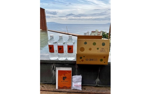 温泉 WAKUWAKU 熱川温泉 熱川プリンス 源泉 ２L×３ タオル パンフレット 1064