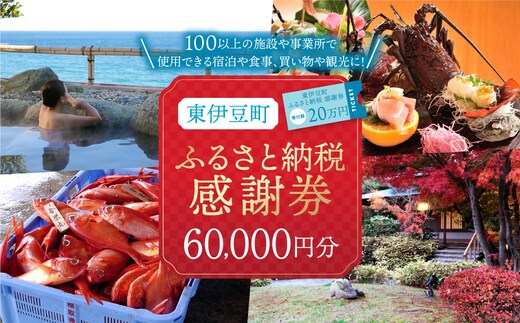 東伊豆町 ふるさと納税 感謝券 60000円 1076 ／ 静岡県 旅行 宿泊 食事 観光 チケット クーポン 補助 リフォーム ホテル 動物園 海鮮 みかん 金目鯛 稲取 熱川 ギフト 土産