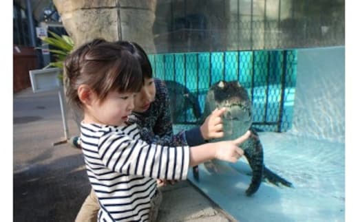 熱川バナナワニ園 入園 招待券 2枚 A004 ／ 熱帯 動植物園 チケット 静岡県 東伊豆町