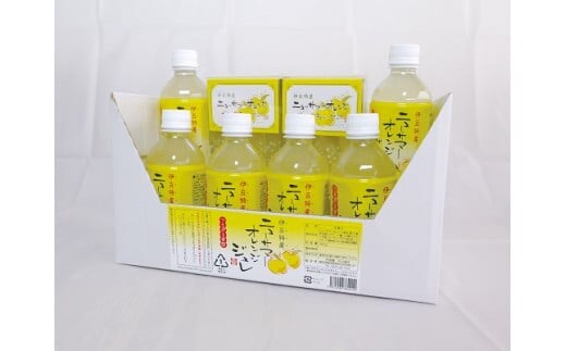 ニューサマーオレンジ ジュレ ゼリーdeシャーベット(小) A016／甘味しるこや悠遊庵 ゼリー ジュース 静岡県 東伊豆町