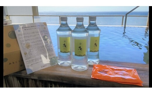 静岡県東伊豆町 稲取温泉 稲取東海ホテル湯苑 自宅で楽しめる源泉掛け流し温泉 （温泉WAKUWAKU） 1249 ／ ギフト プレゼント