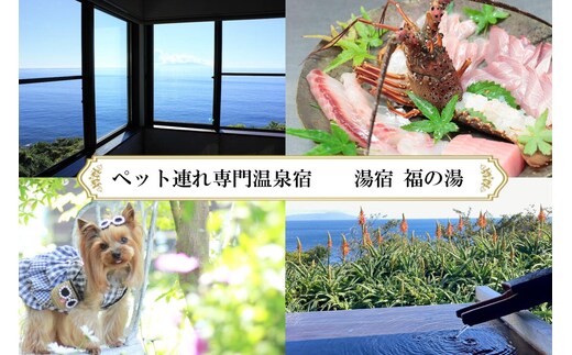 愛犬と泊まる源泉かけ流しの湯宿 湯宿福の湯 休前日限定宿泊券1泊2食付き1室2名様ご利用 1292 ／ 福の湯 静岡県 東伊豆 伊豆 愛犬 ペット 泊まれる