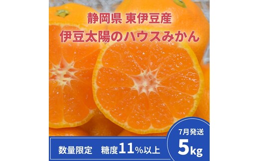 糖度11％以上 JAふじ伊豆 伊豆太陽のハウスみかん 5kg 静岡県産 1312 ／JAふじ伊豆 ハウスみかん みかん 静岡県 東伊豆町