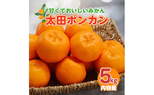 【1月配送】ポンカン 赤秀（最高級） 5kg JAふじ伊豆 静岡県産 1381 ／ JAふじ伊豆 太田ポンカン 赤秀 贈り物 静岡県 東伊豆町