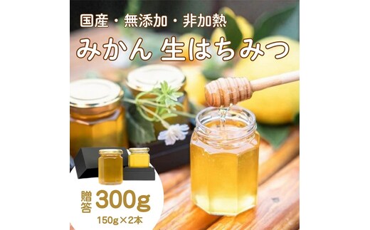 国産みかんはちみつ：伊豆の陽だまり みかんの生はちみつ（贈答用150g×2本） 1378 ／ Honey・D 国産 ハチミツ 非加熱 無添加 静岡県 東伊豆町