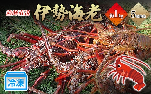 冷凍伊勢海老1kg 伊勢エビ 冷凍 漁師直送