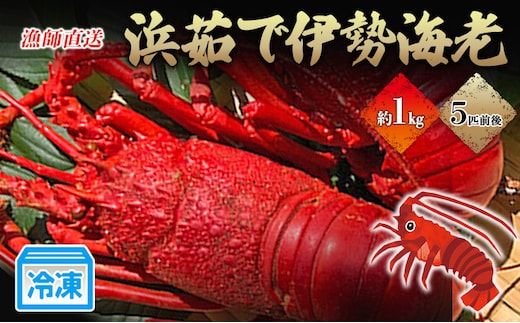 漁師直送 冷凍浜茹で伊勢海老1キロ 伊勢エビ 冷凍