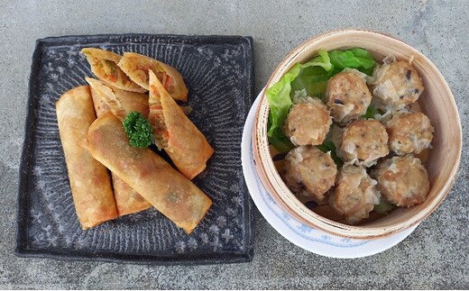 あおき特製 冷凍春巻・野菜シューマイセット お肉の加工品