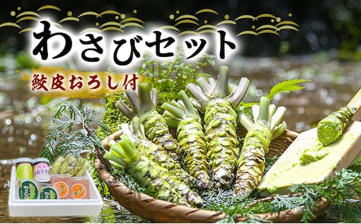 わさび セット 鮫皮おろし付 生わさび 4本 わさび漬け 2個 わさび味噌 2個 天城の春 三杯酢漬け1瓶 むらさき漬け 1瓶 詰め合わせ 伊豆 伊豆わさび食品直送 ワサビ 山葵 鮫皮おろし 加工品 薬味 調味料 冷蔵 冷蔵配送 静岡 静岡県 河津 河津町