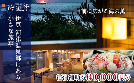 旅行 静岡県 宿泊補助券 海遊亭 30000円分 伊豆 温泉 河津温泉 オーシャンビュー 宿泊 旅館 ホテル 宿 観光 国内旅行 家族 ファミリー カップル 一人旅 記念日 チケット 宿泊券 旅行券 券 ギフト券 施設利用券 バナナワニ園 バガテル公園 静岡 河津 河津町