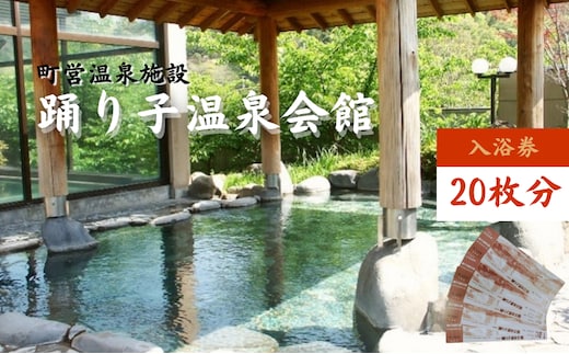 踊り子温泉会館 【入浴券 20枚分】 チケット 峰温泉 温泉 入浴 レジャー 大浴場 回数券 露天風呂 泡風呂 サウナ 癒し 河津町 河津