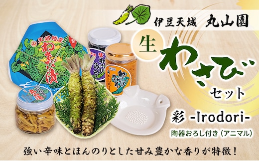 伊豆天城 丸山園 わさびセット 彩 セット 詰め合わせ わさび 山葵 ワサビ 生わさび おつまみ つまみ みそ 味噌 漬け物 漬物