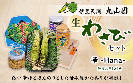 伊豆天城 丸山園 わさびセット 華 セット 詰め合わせ わさび 山葵 ワサビ 生わさび おつまみ つまみ みそ 味噌 漬け物 漬物